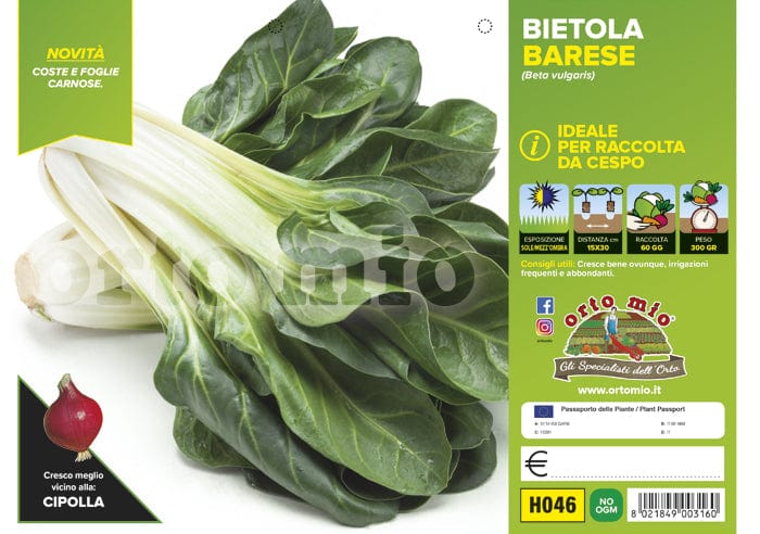 Bietola da cespo Corolla (Sel. Polignano) - 6 piante - Orto Mio Orto Mio (2492059)