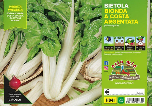 Bietola da Costa Bionda Argentata - 6 piante - Orto Mio Orto Mio (2492060)