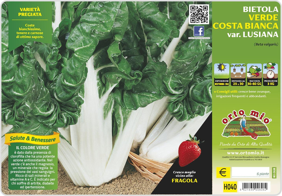 Vendita Piantine da Orto online: Consegna a Casa in tutta Italia