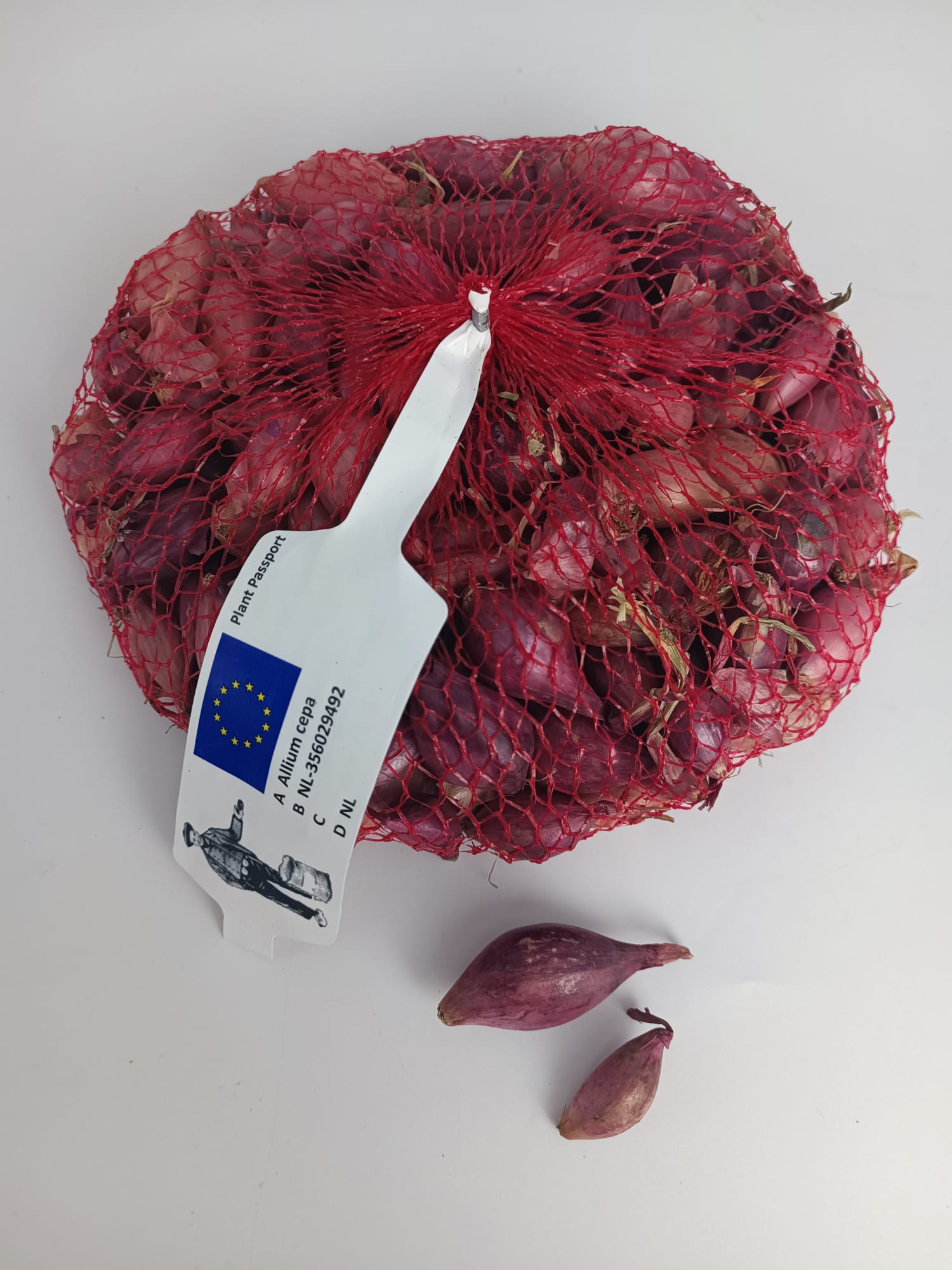 Bulbi Cipolla rossa Romy - tipo Tropea - 500 gr L'Ortolano (2492185)