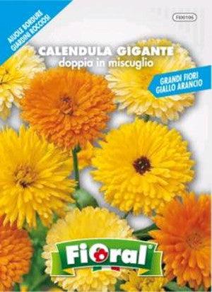 Calendula Gigante doppia in miscuglio - Floral Fioral (2492207)