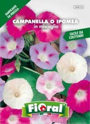 Campanella O Ipomea In Miscuglio - Busta Sementi Fioral (2492248)