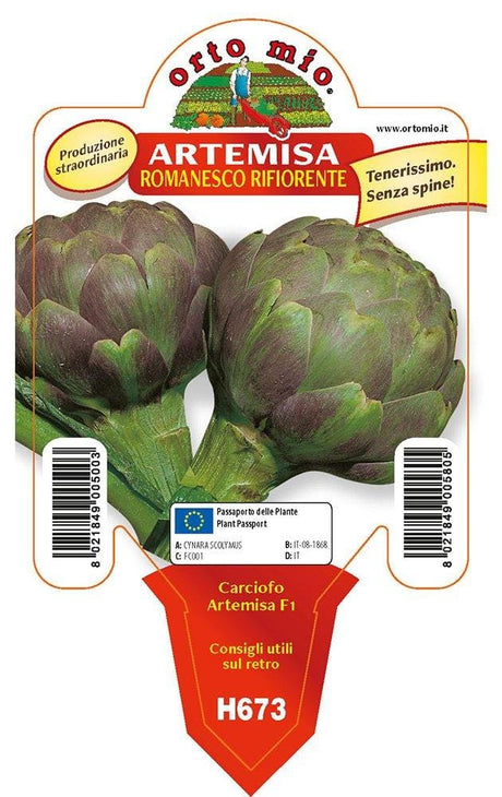 Carciofo romanesco Artemisa F1 - 1 pianta v.10 cm - Orto Mio Orto Mio (2492356)