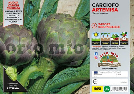 Carciofo romanesco Artemisa F1 - 4 piante - Orto Mio Orto Mio (2492357)