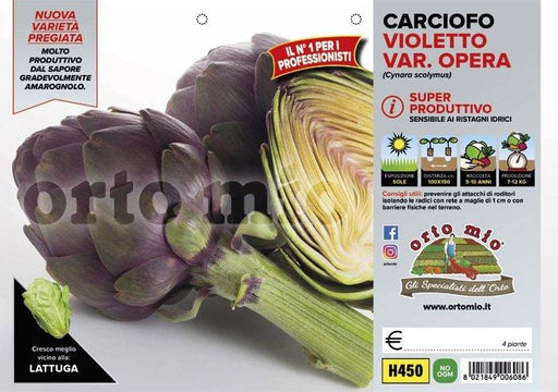 Carciofo Violetto Opera F1 - 4 piante - Orto Mio Orto Mio