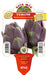 Carciofo violetto toscano Terom - 1 pianta v. 10 cm - Orto Mio Orto Mio (2492365)