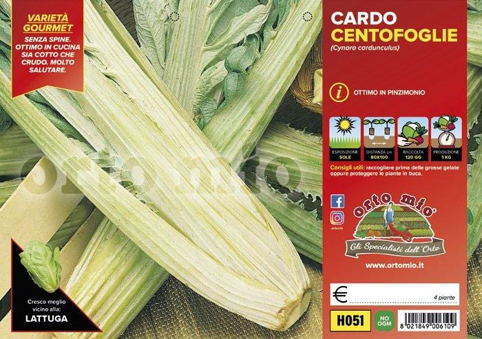 Cardo centofoglie - 4 piante - Orto Mio Orto Mio (2492372)
