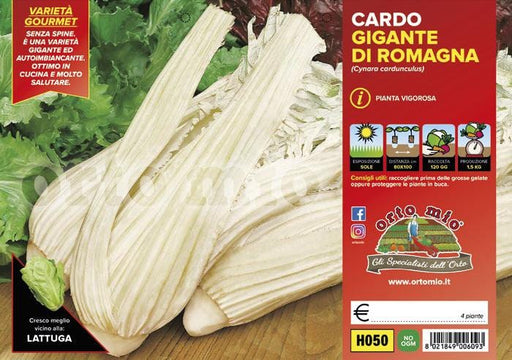 Cardo gigante di Romagna - 4 piante - Orto Mio Orto Mio