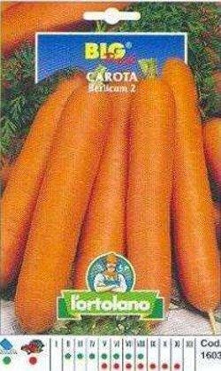 Carota Berlicum 2 Big Pack - Busta Sementi L'Ortolano (2492376)