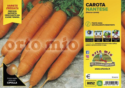 Carota nantese Soprano F1-Bolero F1 - 16 piante - Orto Mio Orto Mio (2492379)