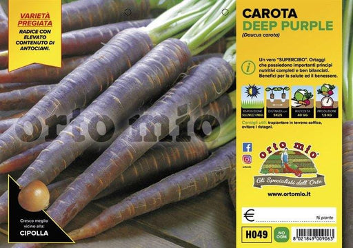 Carota viola Deep Purple F1 - 16 piante - Orto Mio Orto Mio (2492380)