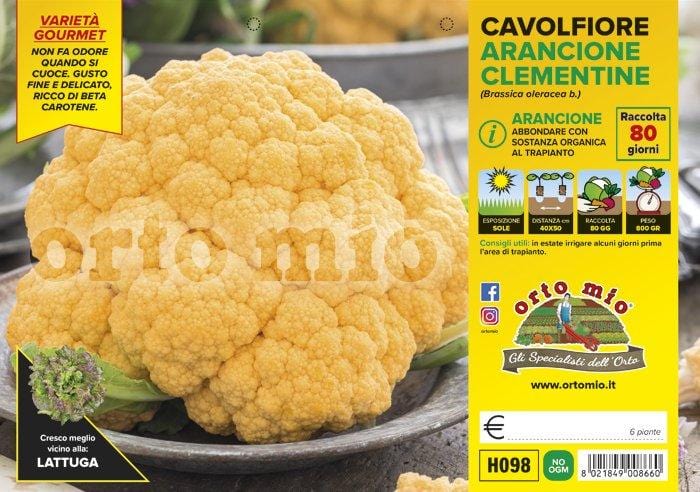 Cavolfiore arancione Clementine F1 - 6 piante - Orto Mio Orto Mio (2492628)