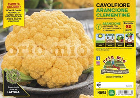Cavolfiore arancione Clementine F1 - 6 piante - Orto Mio Orto Mio (2492628)