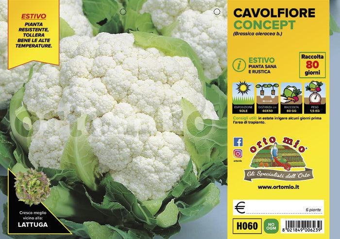 Cavolfiore estivo Concept F1 - 6 piante - Orto Mio Orto Mio (2492630)