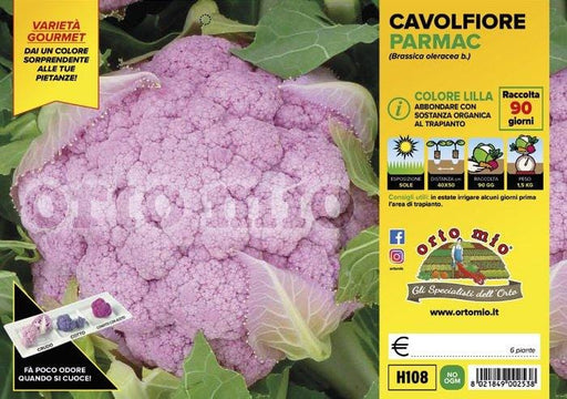 Cavolfiore lilla Lavender F1 - 6 piante - Orto Mio Orto Mio (2492633)