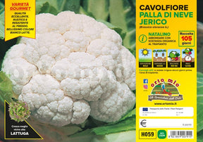 Cavolfiore palla di neve o natalino Jerico F1 - 6 piante - Orto Mio Orto Mio (2576524)