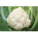 Cavolfiore Romanesco bianco Natalino - 6 piante - Orto Mio Orto Mio