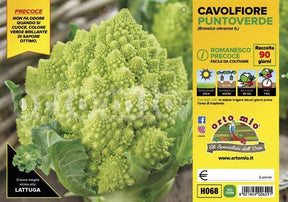 Cavolfiore romanesco precoce Puntoverde F1- 6 piante - Orto Mio Orto Mio (2492641)