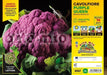 Cavolfiore violetto Purple Queen F1 - 6 piante - Orto Mio Orto Mio