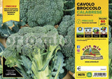 Immagine illustrativa: Cavolo Broccolo Calabrese precoce Green Magic F1. La pianta ricevuta può avere dimensioni e sviluppo diversi.