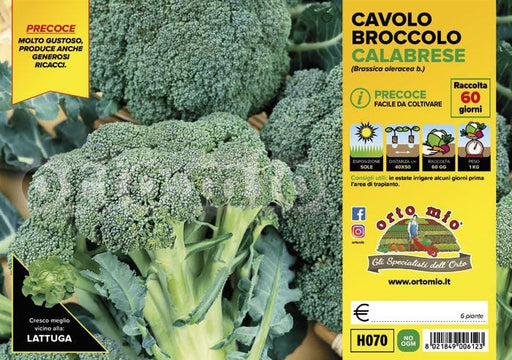 Cavolo Broccolo Calabrese precoce Heraklion F1 - 6 piante - Orto Mio Orto Mio (2492649)