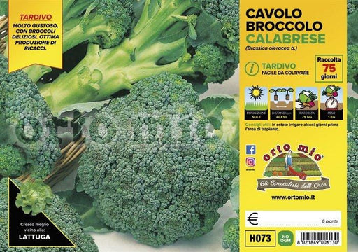 Cavolo Broccolo Calabrese tardivo Marathon F1 - 6 piante Orto Mio (2492650)