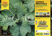 Cavolo broccolo Lavagnino - 6 piante - Orto Mio Orto Mio