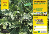 Cavolo broccolo spigariello napoletano (minestra) - 6 piante - Orto Mio Orto Mio (2492655)