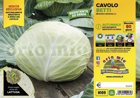 Cavolo cappuccio autunnale Betti F1 - 6 piante - Orto Mio Orto Mio (2492658)