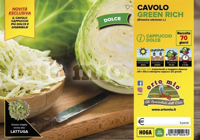 Cavolo Cappuccio dolce Green Rich F1 - 6 piante - Orto Mio Orto Mio (2492663)