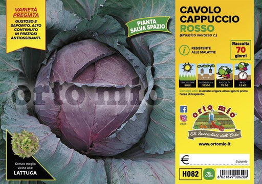 Cavolo Cappuccio Tondo Rosso Red Jewel F1 - 6 piante Orto Mio Orto Mio (2492667)