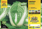 Immagine illustrativa: Cavolo cinese. La pianta ricevuta può avere dimensioni e sviluppo diversi.