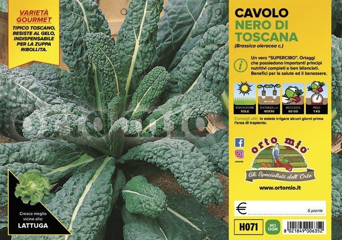 Cavolo Nero di Toscana Yurok F1 - 6 piante - Orto Mio Orto Mio (2492672)