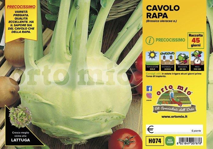 Cavolo Rapa Bianco Quickstar F1 - 6 piante - Orto Mio Orto Mio (2492673)