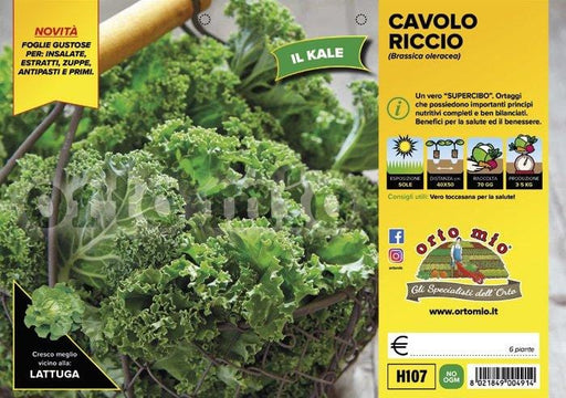 Cavolo riccio Green Kale F1 - 6 piante - Orto Mio Orto Mio (2492675)