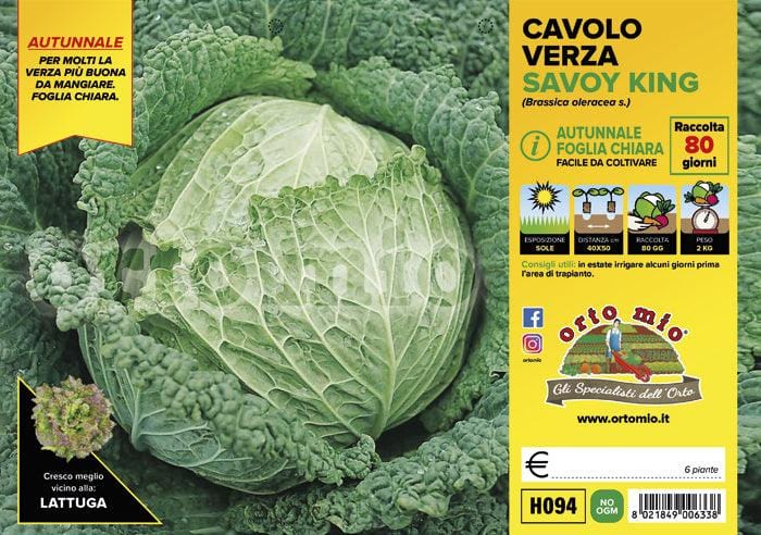 Cavolo verza chiara autunnale Savoy King F1 - 6 piante - Orto Mio Orto Mio (2492677)