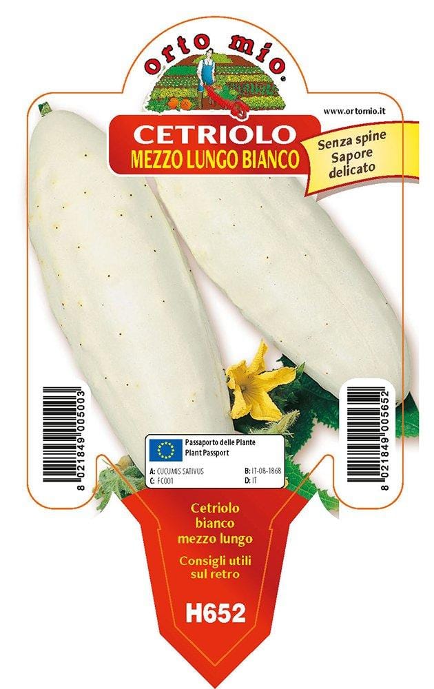 Cetriolo bianco mezzo lungo White Wonder F1 - 1 pianta v.10 - Orto Mio Orto Mio (2492744)