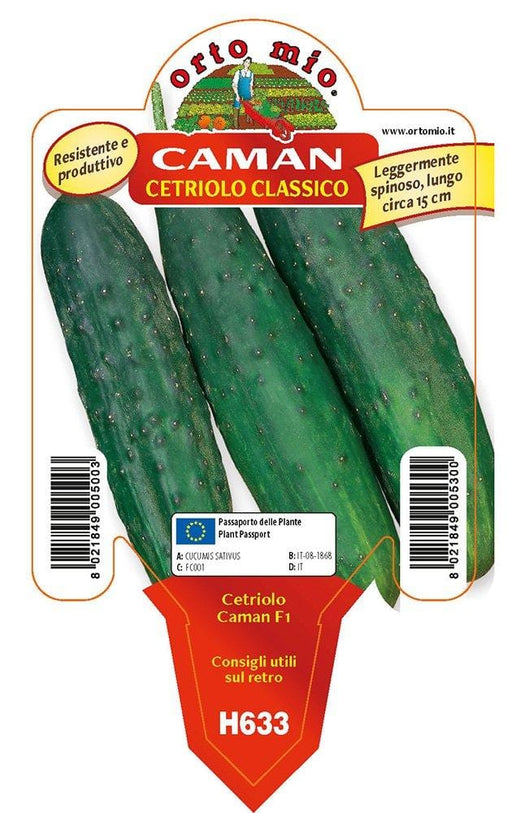 Cetriolo classico Caman F1 - 1 pianta v.10 cm - Orto Mio Orto Mio (2492745)