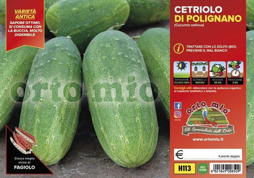 Cetriolo di Polignano - 4 piante - Orto Mio Orto Mio (2492748)