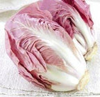 Cicoria Verona Rosa - 5000 pillole - Semencoop L'Ortolano L'Ortolano (2492789)