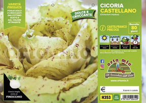 Cicorie e Radicchio Castelfranco precoce Castellano - 9 piante - Orto Mio Orto Mio (2492795)