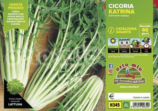 Cicorie e Radicchio Catalogna Gigante Katrina F1 - 9 piante - Orto Mio Orto Mio (2492797)