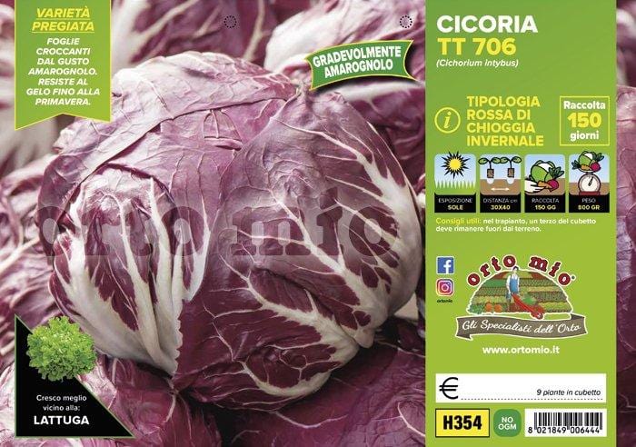 Cicorie e Radicchio rossa di chioggia invernale TT 706 - 9 piante - Orto Mio Orto Mio (2492807)