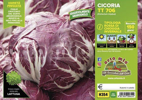 Cicorie e Radicchio rossa di chioggia invernale TT 706 - 9 piante - Orto Mio Orto Mio (2492807)
