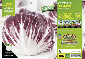 Cicorie e Radicchio rossa di chioggia medio tardiva TT 4050 - 9 piante - Orto Mio Orto Mio (2492808)
