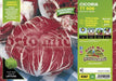 Cicorie e Radicchio rossa di Chioggia tardiva TT 506 - 9 piante - Orto Mio Orto Mio (2492810)