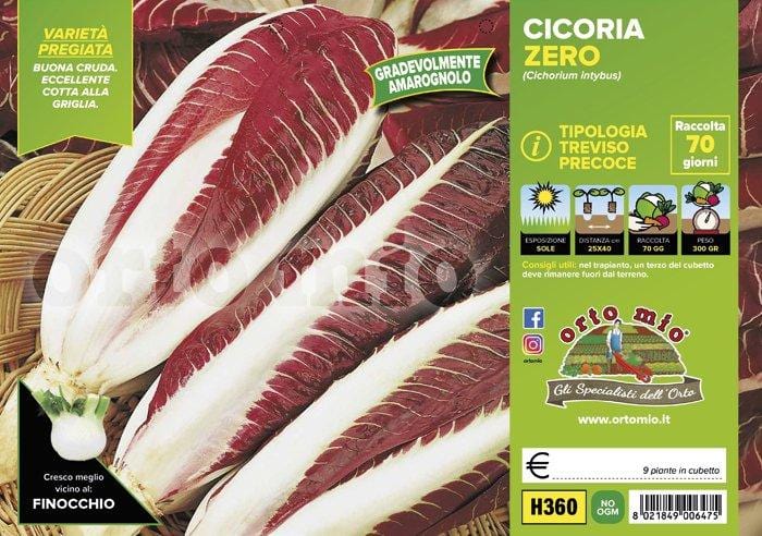 Cicorie e Radicchio rossa di Treviso precoce Zero - 9 piante - Orto Mio Orto Mio (2492812)