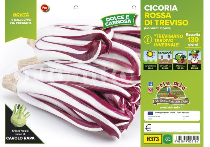 Cicorie e Radicchio rossa di Treviso tardiva invernale TT 1606 - 9 piante - Orto Mio Orto Mio (2492813)