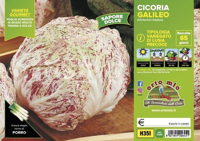 Cicorie e Radicchio variegata di Lusia precoce Galileo F1- 9 piante - Orto Mio Orto Mio (2492821)