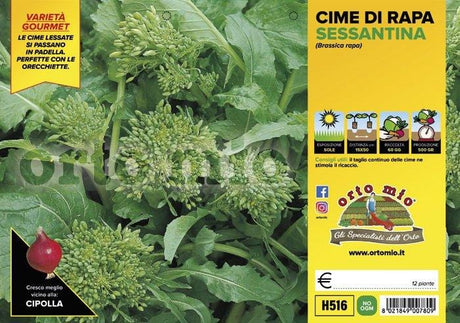 Cima di rapa sessantina - 12 piante - Orto Mio Orto Mio (2492841)